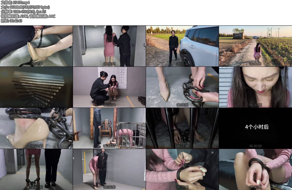 [鑫鑫原创] J花体验记下王玉体验上面决定组织JC体验监狱犯人生活了解犯人在狱中的心理从而更好的管理犯人王玉和琪淇两人商量组队互相体验做女犯-丝依依