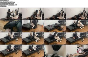 [亚洲绳艺] 灵宁心甘情愿给小艾当狗给主人舔爽了搞笑向K9-舔银&TK-丝依依