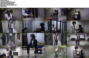 [MJ影视] 渣女传奇-丝依依