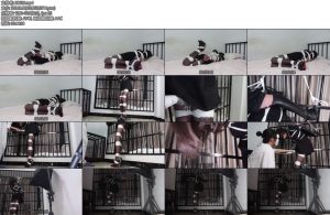 [面具原创] 面具男 超美腿女声伪娘努努第一次被超高高跟鞋罚站半小时超严密的百米绳子极限驷马却又害怕榨汁惩罚的羞涩神情不知道喷了多少次-丝依依