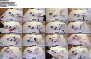 [鹿角与猫爪] 塑封白丝女仆 抽气~挣扎！绝对真空绝闷-丝依依