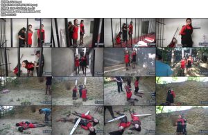 [MJ影视] 毒枭姐妹花-丝依依