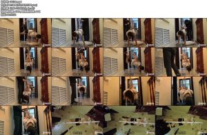 [半岛束艺] 身边的任何物品都有可能成为工具-丝依依