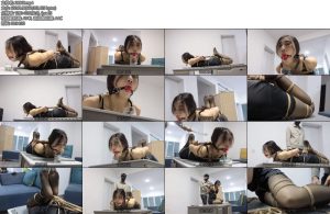 [得意客] 惩罚女秘书（2）恩可主演-丝依依