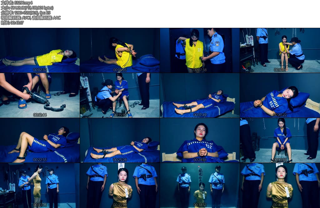 [胜景影视] 法之殇下集金丽被判死刑砸上死镣五花大绑押赴刑场执行绞刑-丝依依