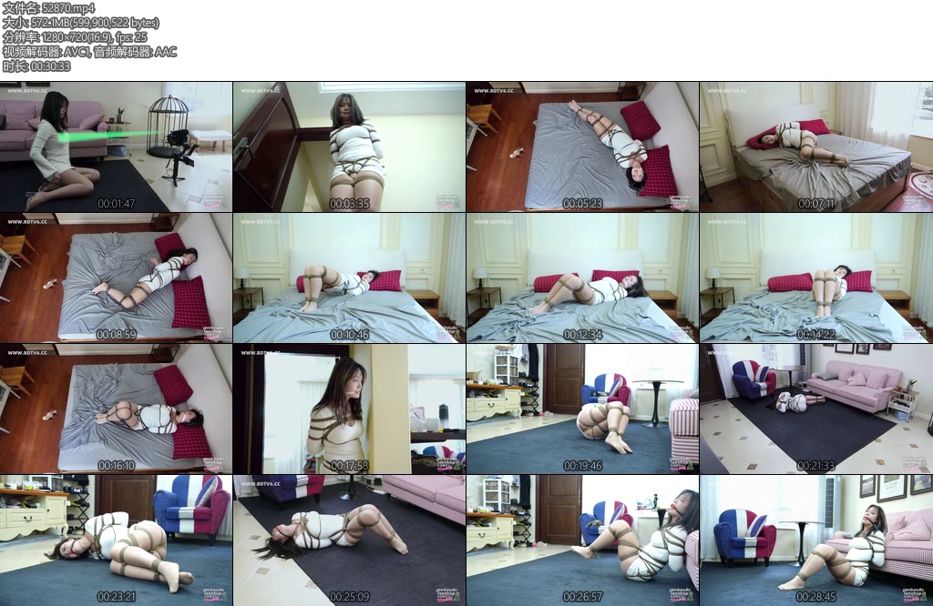 [半岛束艺] 波雅查打一体无人相机-丝依依