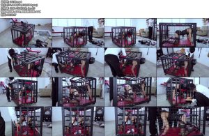 [樱束原创] 大型订拍剧完全禁锢（五）-丝依依