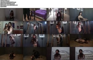 [胜景影视] JD行动完整版-丝依依