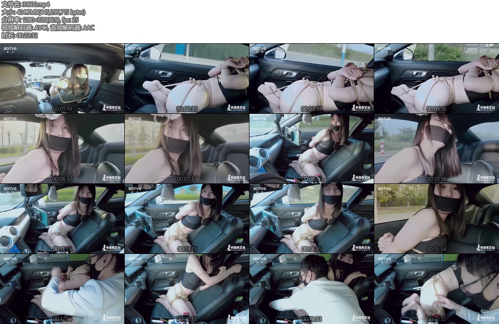 [半岛束艺] 我的副驾驶总有惊喜~佟镜-丝依依