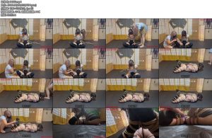 [悦感日记] 新女模试镜双女驷马紧缚郊狼震动强制训练-丝依依