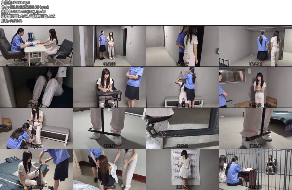 [忘忧社] 主角是一位刚毕业的毕业生因写监狱题材的论文而前往学姐的工作地点寻求灵感在学姐的带领下主角参观了监狱的各个部分包括用于审讯犯人的房间-丝依依