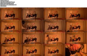 [悦感日记] 夏天驷马吊缚起飞成功郊狼电击滚轮TKSP马具口水直流-丝依依