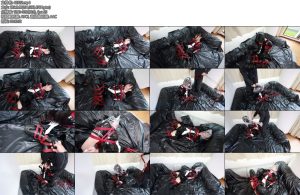 [D-Lemon] Lemon 胡座縛りcompleteplan [复制链接]-丝依依