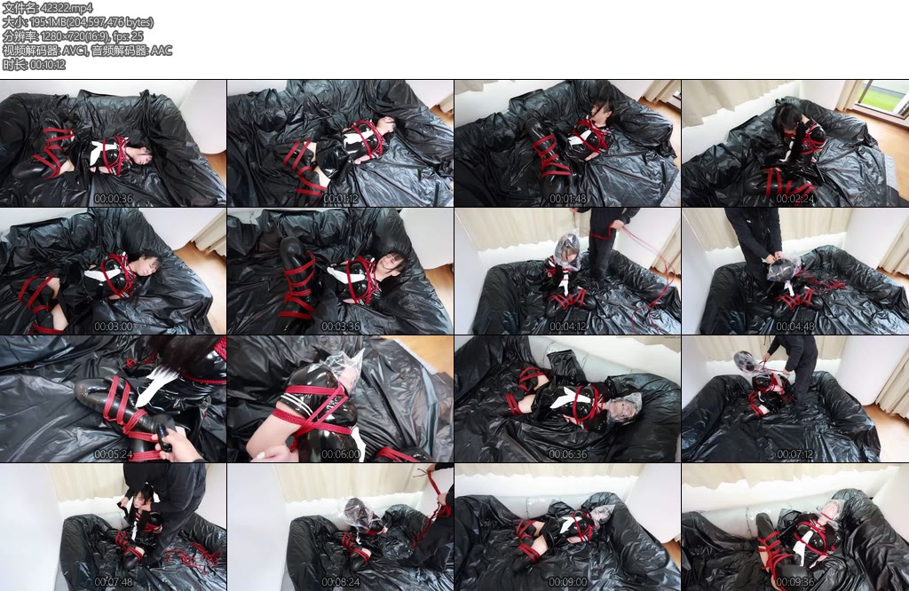 [D-Lemon] Lemon 胡座縛りcompleteplan [复制链接]-丝依依