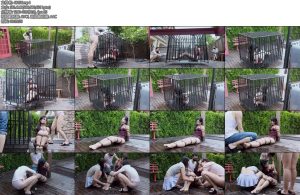 [半岛束艺] 缇娜如何给宠物洗澡-丝依依