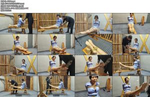 [李大侠] 女侦查员磨难下-丝依依