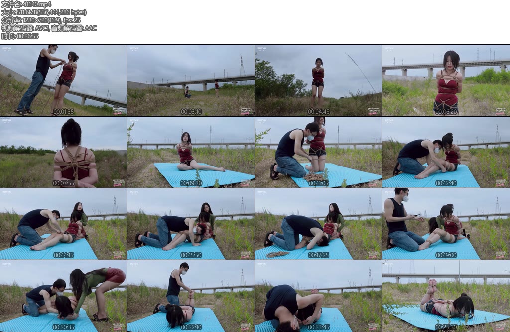 [半岛束艺] 林蛾草丛中的萌新-丝依依