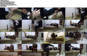 [新月原创] 佳怡D塞口水收集超紧裸足直臂驷马看着口水乱流的样子非常刺激-丝依依