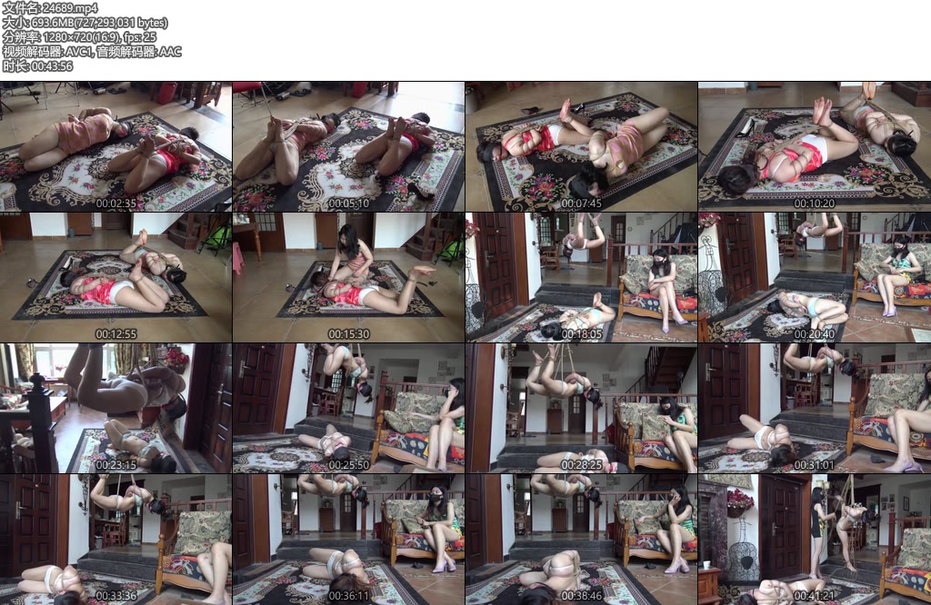 [胜景影视] 姐妹落难记（第二集）-丝依依