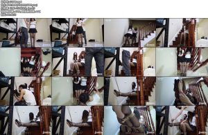 [半岛束艺] 两只小野猫~ 野樱 佐伊-丝依依