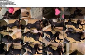 [恋鱼日记] 小鱼的全包K9训练碎片合集短视频-丝依依