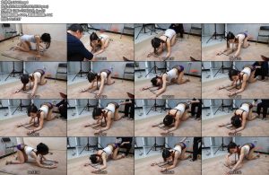 [随心原创] 江奈大厅跪爬器-丝依依