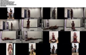 [CD伪娘] 小诡的自缚128豹纹女侠和小蛛蛛第二集-丝依依