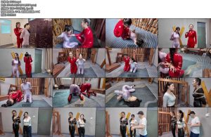 [李大侠] 落难女侠上-丝依依