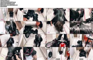[CD伪娘] 嘉嘉K9人犬肛钩牵引筋膜枪cha入郊狼丁丁训练器-丝依依