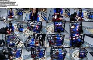 [飞天原创] 韩玉铁笼禁锢-丝依依