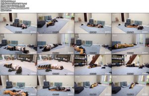 [半岛束艺] 置换熊~西玛 卡菲-丝依依