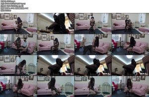 [半岛束艺] 苏子近期流感特病特治-丝依依