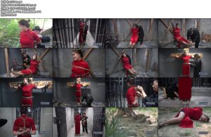 [MJ影视] 女烈小慧-丝依依