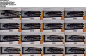 [亚洲绳艺] 小伪娘的自缚之睡前的罚站-丝依依