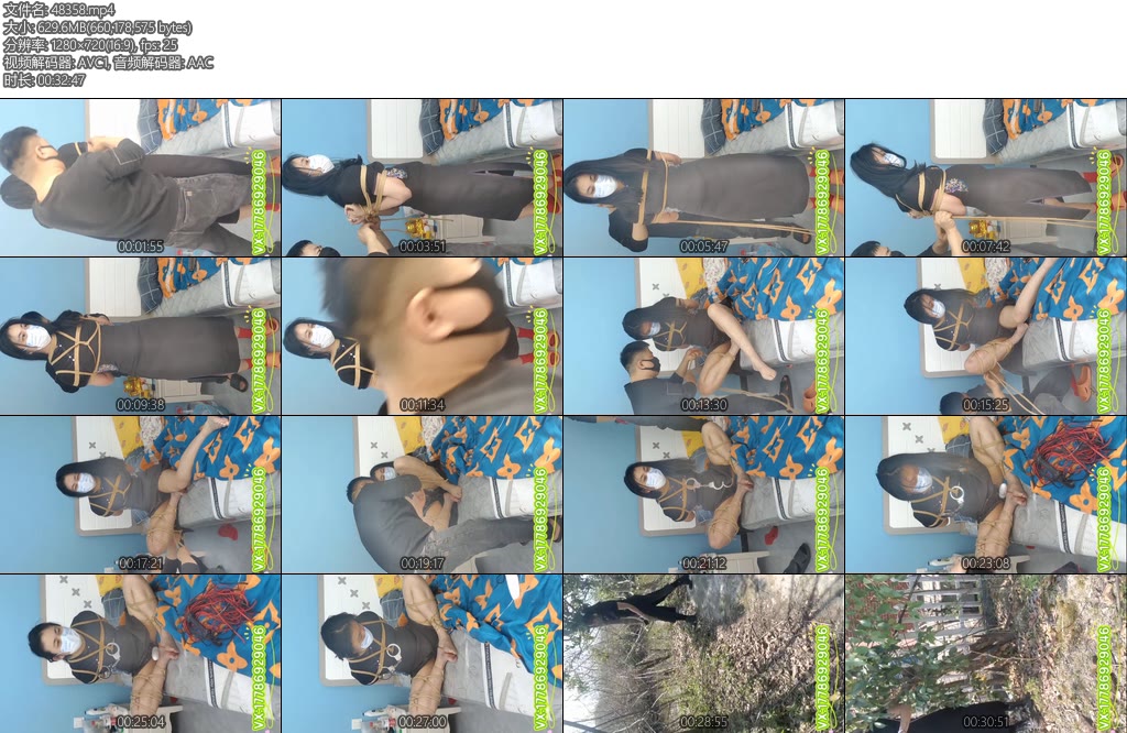 [忧郁的笨鸟] 旗袍女被室内紧缚户外第九章-丝依依