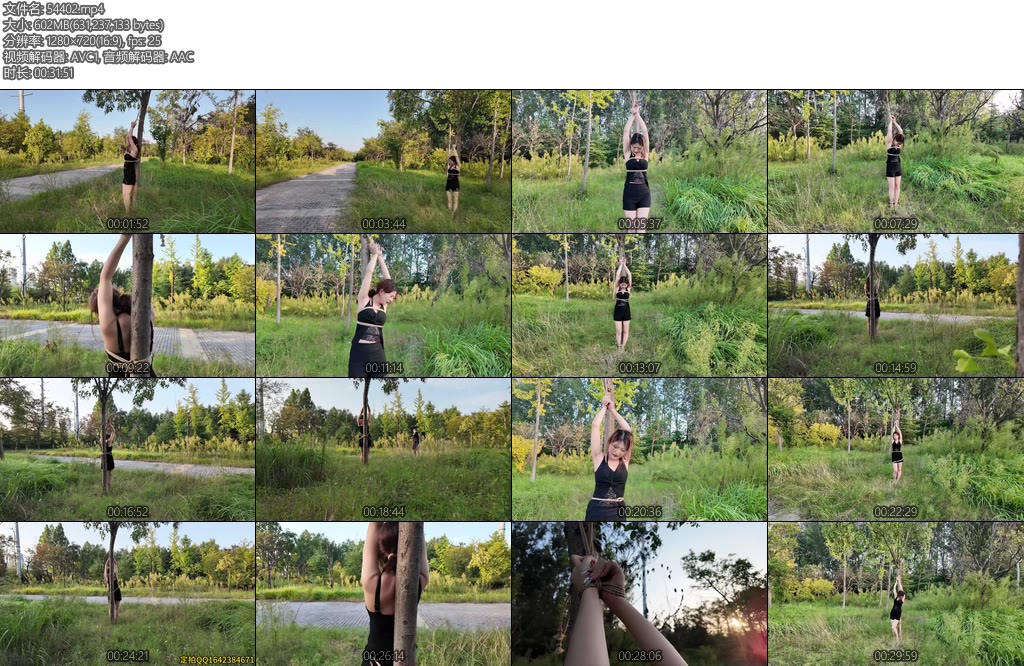 [李大侠] 晓琴路边捆绑-丝依依