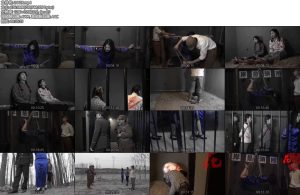 [胜景影视] 血映红梅（下集）王梅和她的同志被敌人抓捕刑讯-丝依依