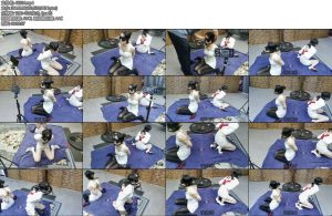 [飞天原创] 柔仙儿和艺仙儿铜丝后手观音圈内稀有的鼻勾拔河比赛获胜方奖励金条-丝依依