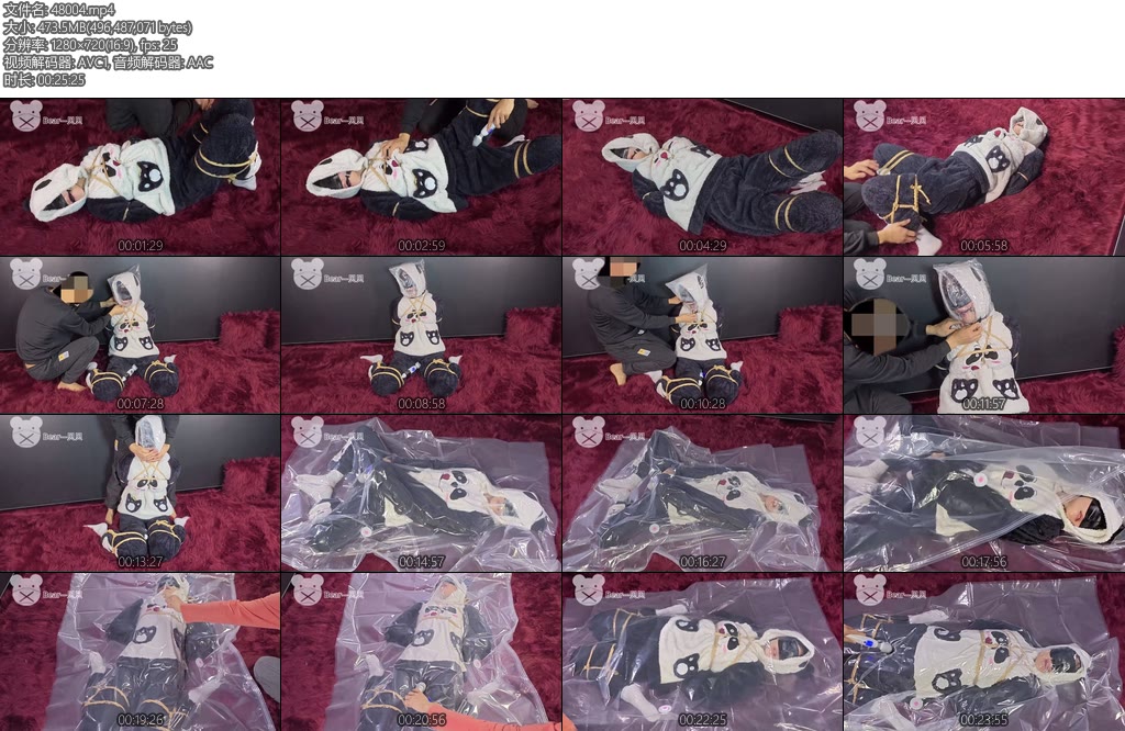 [亚洲绳艺] 贝熊惊因为一时的疏忽大意被小熊偷袭塞进去了-丝依依