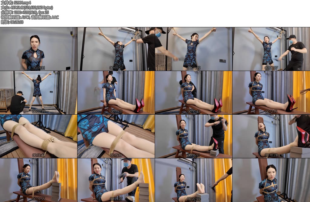 [李大侠] 上刑之十一-丝依依