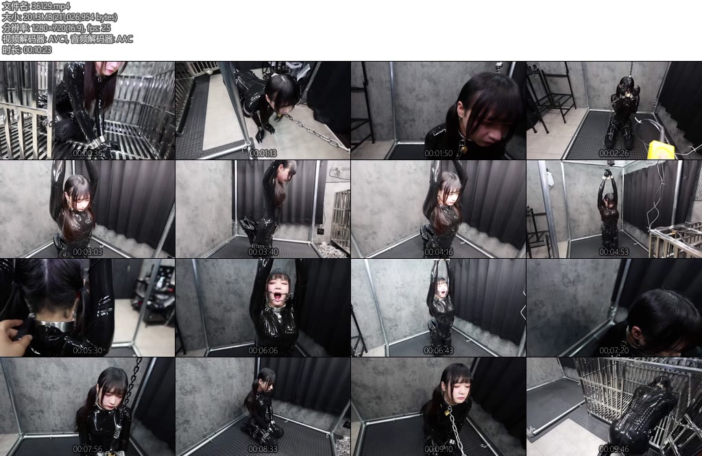 [D-Lemon] 10分ラバー吊り上げ拘束イラマ調教complete plan-丝依依