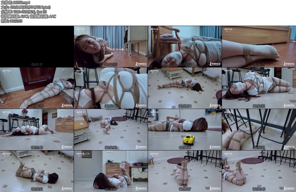 [半岛束艺] 布玛第三代家庭防盗系统-丝依依