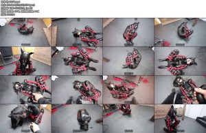 [D-Lemon] ヒトイヌ緊縛転がし調教complete plan-丝依依