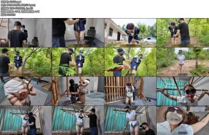 [李大侠] 绑架女白领-丝依依