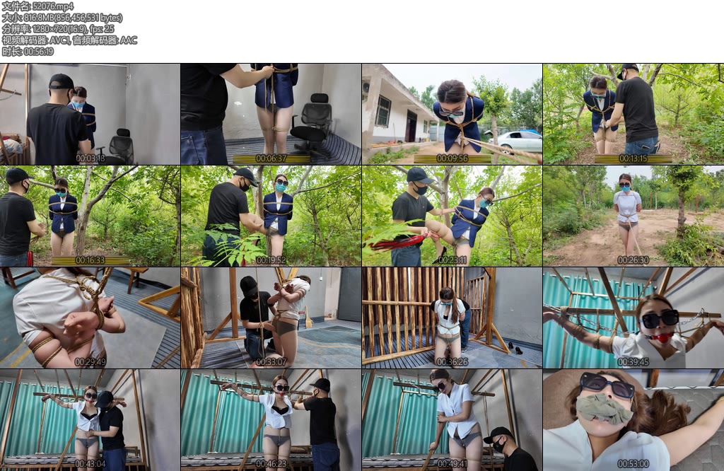 [李大侠] 绑架女白领-丝依依