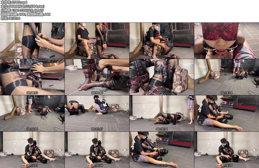 [涵涵原创] 涵涵 K9人形犬-丝依依