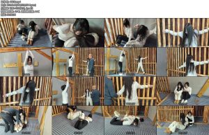 [李大侠] 绳艺小院之绑架上-丝依依