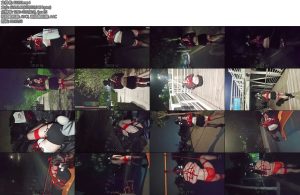 [一颗露露子] 户外捆绑篇13全裸丝袜日式捆绑散步双马尾高跟丝袜后手观音捆绑露出郊狼电击行走团缚捆绑公园健身器材吊缚驷马放置-丝依依