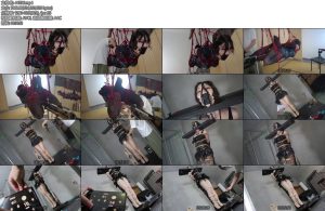 [面具原创] 面具男 朋友说把他的宠物放在我家训2小玫瑰经过第一次训练之后还不服那只能整第二轮更残酷的训练了空中诡头训练器榨汁花心-丝依依