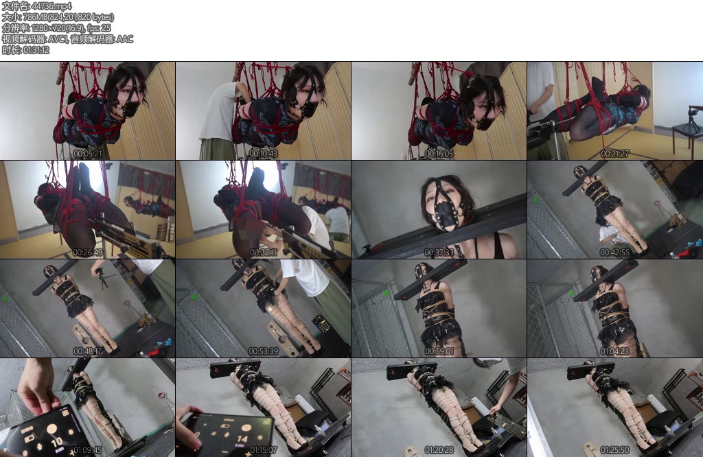 [面具原创] 面具男 朋友说把他的宠物放在我家训2小玫瑰经过第一次训练之后还不服那只能整第二轮更残酷的训练了空中诡头训练器榨汁花心-丝依依